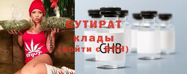 индика Дмитров