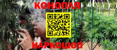 эйфоретик Гай
