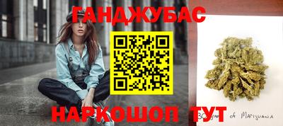 эйфоретик Гай