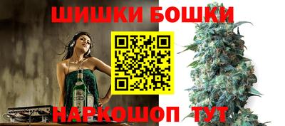 скорость Гатчина