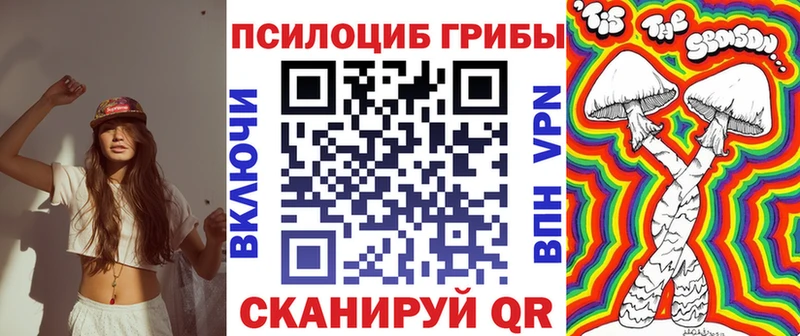 Псилоцибиновые грибы Magic Shrooms  магазин  наркотиков  Анжеро-Судженск 