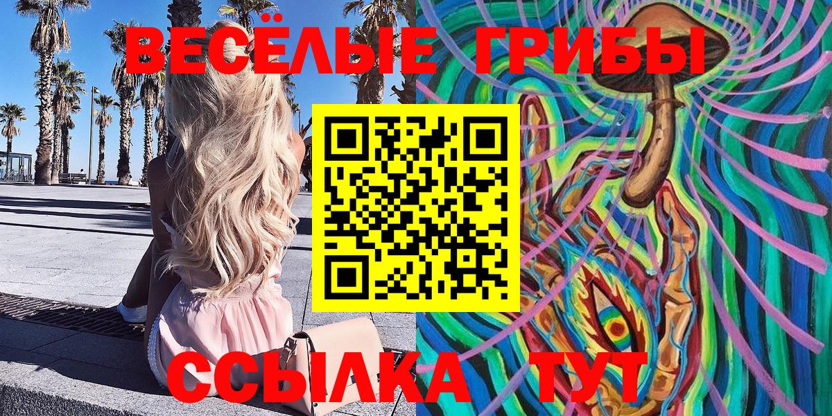 Псилоцибиновые грибы Psilocybe  Анжеро-Судженск 