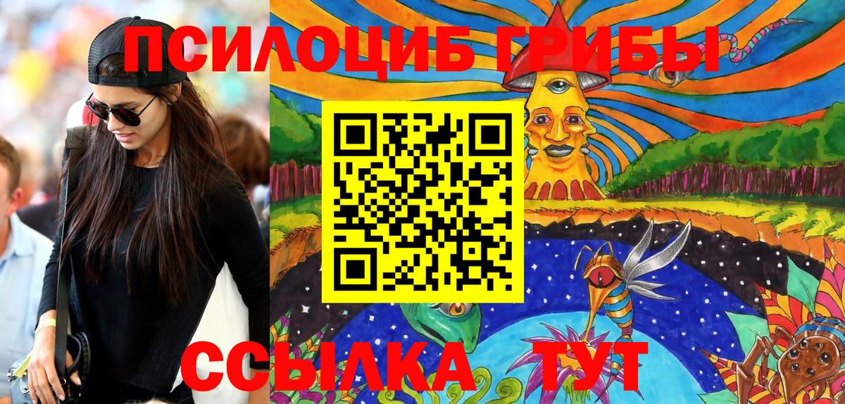 Анжеро-Судженск  Псилоцибиновые грибы Psilocybine cubensis  Вход с VPN 